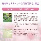 ウォルナット（平常心）《バッチフラワーレメディ》10ml