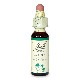 ウォルナット（平常心）《バッチフラワーレメディ》10ml