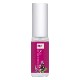 クズ（バイタリティ・解放）《ファーイーストフラワーエッセンス》10ml