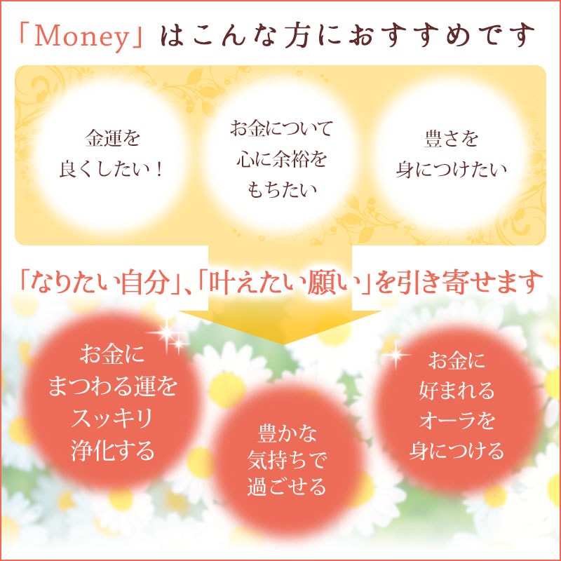 Money(����)��å����������� �ԥ���ʡ����㥤��ɥ�å������� 15ml