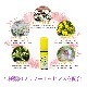 レスキュースプレー アルコールベース《バッチフラワーレメディ》20ml （箱なし）