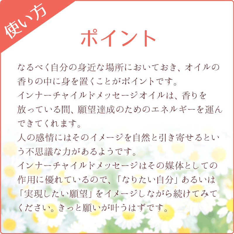 ����ߥ奨��ŷ�ȤΥ�����(ʿ�¤�⤿�餹) �ԥ���ʡ����㥤��ɥ�å������� 15ml