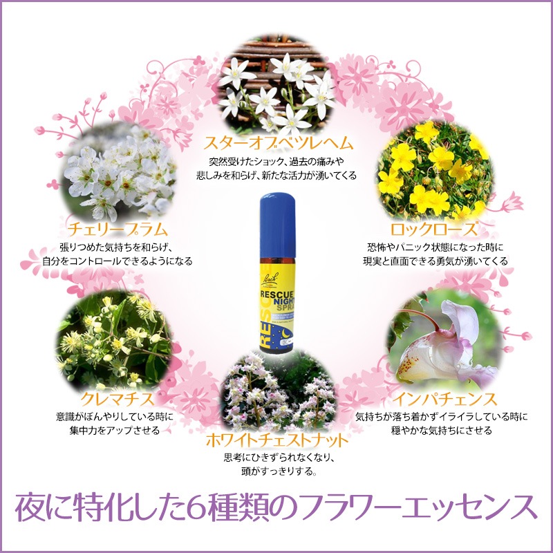 �쥹���塼�ʥ��ȥ��ץ졼 �ԥХå��ե����ǥ���20ml��Ȣ�ʤ���