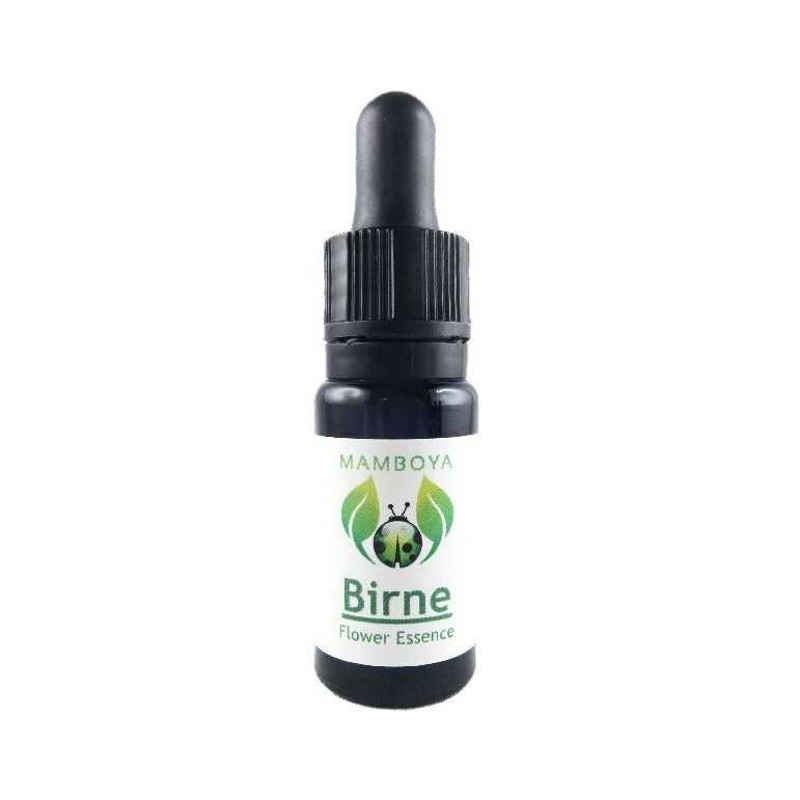 �����襦�ʥ�����ˡԥޥ�ܥ�ե����å��󥹡� 10ml