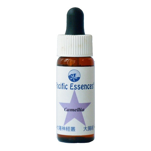 カメリア《パシフィックエッセンス》7.5ml｜フラワーレメディ《公式店》