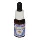 エンデュランス《ヒマラヤン・フラワーエンハンサーズ》15ml