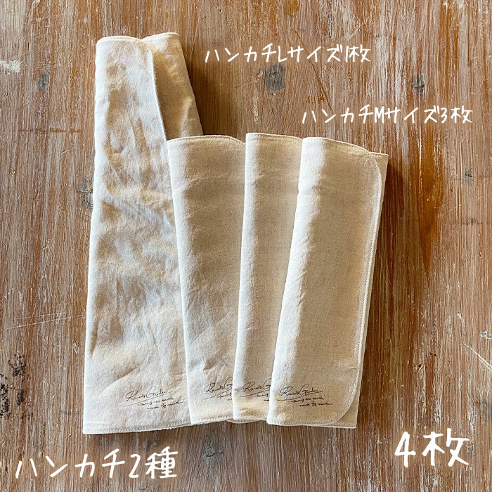 REMEDY GARDEN　ホルダー1Dayセット　(普通の日～多い日夜用)　★嬉しい特典付★　【送料無料・ネコポス不可】