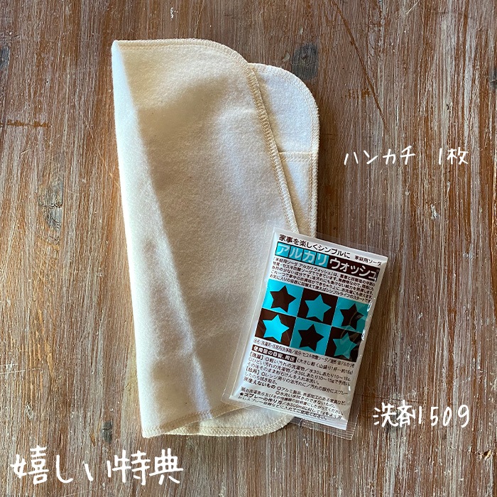 REMEDY GARDEN　ホルダー1Dayセット　(普通の日～多い日夜用)　★嬉しい特典付★　【送料無料・ネコポス不可】