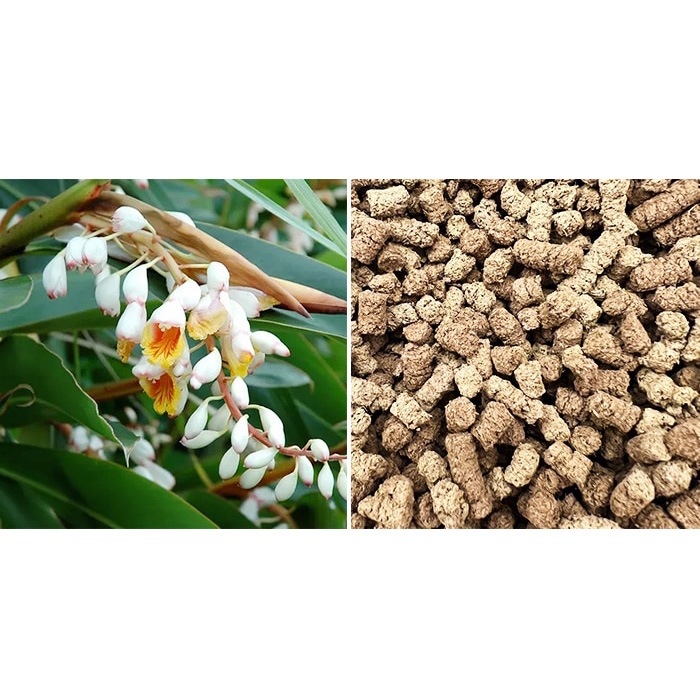 新月ヒーリングバスソルト　新月の無農薬月桃《浄化と調和》900ｇ