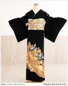 αµ��󥿥� ts145 �뺧�� ��� ��αµ��󥿥� �ե륻�å� α��µ��󥿥����� ��² tomesode ��ʪ��󥿥� αµ �͵� kimono �߰��� ��������̵�� �ڿ��Ĥ�˱�����������