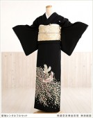 αµ��󥿥� ts173 ��αµ��󥿥� ������ͧ�����������ɳ��ޡסڥե륻�åȡ۷뺧�� ��� α��µ��󥿥� ����ڥ� ������ ��ʪ��󥿥� ����󥯾� ��� �͵�/��² �� tomesode kimono ����­�� ��������̵��