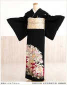 αµ��󥿥� ts174 ��αµ��󥿥롡������ͧ�� ����󼬳�ʸ�ְ͡�ॱ�ڡסڥե륻�åȡ۷뺧��/���/α��µ��󥿥�/����ڥ�/������/��ʪ��󥿥�/����󥯾�/���/�͵�/��²/��/tomesode/kimono/����­��/