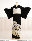 αµ��󥿥� ts175 ��αµ��󥿥롡������ͧ�� �����ʸ�� �������ڡסڥե륻�åȡ۷뺧�� ��� α��µ��󥿥� ����ڥ� ������ ��ʪ��󥿥� ����󥯾� ��� �͵� ��² �� tomesode kimono ����­�� ��������̵��