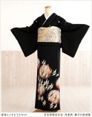 αµ��󥿥� ts177 ��αµ��󥿥� �뺧�� ��ơڥե륻�åȡ�α��µ ��ʪ��󥿥� ����ڥ� ������ ��� �͵� �� ��² ���� kimono ��󥿥�αµ tomesode ��������̵�� �ֵ�ͧ���������������׷ĤӤ�������