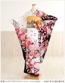 µ 󥿥롡fp1055뺧µ󥿥롡Ǽµ󥿥롡񡡿µ󥿥롡´ȼµ󥿥롡ե륻åȡµ󥿥롡ꡡʪ󥿥롡ŵȥդͼ襤̵Ϥ˹ĳȷĺ̲