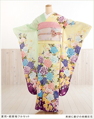 希少 夏用振袖 絽 000000000743_CbZ203R.jpg