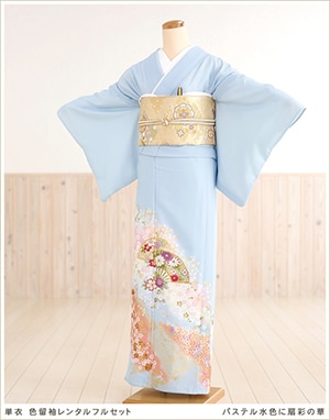 夏用色留袖レンタル（単衣）｜五つ紋｜結婚式｜式典｜着物レンタル