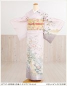 大きいサイズ 訪問着レンタル hh1272 幅広 着物レンタル  【フルセット】《レンタル訪問着》お宮参り 七五三 貸衣装 お茶会 入学式 卒業式 卒園式 正絹 結婚式 広巾 Lサイズ ママ 母親 や