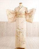 卒業式 母 着物レンタル hw1348 訪問着レンタル 入学式 結婚式 七五三【付下げ・訪問着フルセット】お宮参り 753  卒園式 正絹 ママ 母親 kimono houmongi 人気 結納 お茶