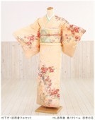 貸衣裳ぽえむ 訪問着 レンタル 着物 結婚式 七五三 卒業式 入学式 結納