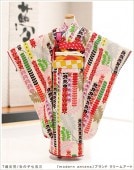 ޻ 󥿥  λҡj7185 modern antenaץ֥ ꡼ॢ ̥ե륻åȡ̼͡޻ ʪ󥿥̻͡Ҷʪ͡753̣͡С̼͡С̷̣͡͡͡뺧̼͡͡2022͡ʪ󥿥̿͡͵̥͡󥢥ƥʡ