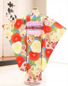  λ ʪ ޻󥿥 j7197 ե륻å 753 ʪ󥿥 Ҷʪ   뺧  ͵ 2022  ȥ 襤 ֤פפץ֥ ֥롼̷Ľ˲