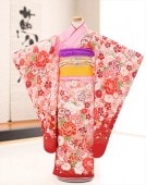  λ ʪ ޻󥿥 j7199 ե륻å 753 ʪ󥿥 Ҷʪ   뺧 ˤ ͵ 2022  ȥ 襤 ȯɽ ֵץ֥ ԥ󥯤˰ॺ̤Ľ˲