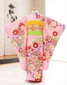 ���� ���λ� ��ʪ ���޻���󥿥� j7211 �ե륻�å� 753 ��ʪ��󥿥� �Ҷ���ʪ 2022 ���� ���� �뺧�� ����ˤ� �͵� ����� ��ȥ� ���襤�� ȯɽ�� �֤����ä��ץ֥��� �ԥ󥯤˰�ॽ˺̲�