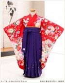 小さめ6歳前後用女の子袴m　赤地に春を彩る花々 紫桜袴 h5012【フルセットレンタル】レンタル袴/着物レンタル/幼稚園/卒園式/保育園/卒業式/ハイカラさん/コスプレ/6歳/7歳/子供着物/イベント