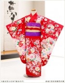 〔５歳女の子〕（小さめ７歳）七五三レンタル　赤地に色彩祝蝶花の舞 j5012【5歳女児/女の子七五三セット】〔フルセット〕《レンタル七五三》《753レンタル》〔子供着物〕〔2022〕〔貸衣装〕〔五歳〕
