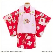 ���н��λ� ��ʪ��󥿥� ����� jbk059 ���Ϥ˽ˤ��̲֡ڣ��н����ۡԥ�󥿥���ʪ�աԥ٥ӡ�������󥿥������ ��� �뺧�� ���٥�� �Ҷ���ʪ ������� 70cm 80cm ���פ� ������ �߰���