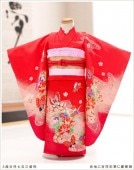 3�� ���λ� ��ʪ��󥿥� ���޻� j3002 �ӥ��å� ����ӡ����Ϥ˵Ⱦͺ̲ڤ˷�ĳ��ץե륻�å� 753 ��󥿥뼷�޻� �͵� ���襤�� ������� 2020 ���� �Ҷ���ʪ �߰��� �뺧�� ��ʪ���٥�� ��������̵��