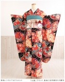 ��µ��󥿥� ���ͼ� �뺧�� fp1265 ��ʪ��󥿥� ��Ǽ �ե륻�å� ������ ´�ȼ� ����µ��󥿥롡������ ��ʪ��󥿥� ��ŵ ��ȥ� �͵� ���襤�� ��������̵�� �ֶ�šץ֥��� ���Ϥ˵Ⱦ���̤�ηĲ�