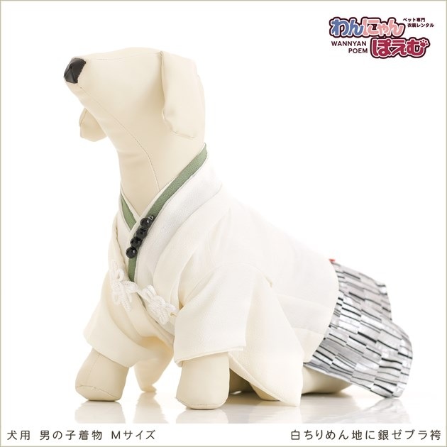 ペット着物レンタル｜犬の着物 男の子 Mサイズ 小型犬｜トイ