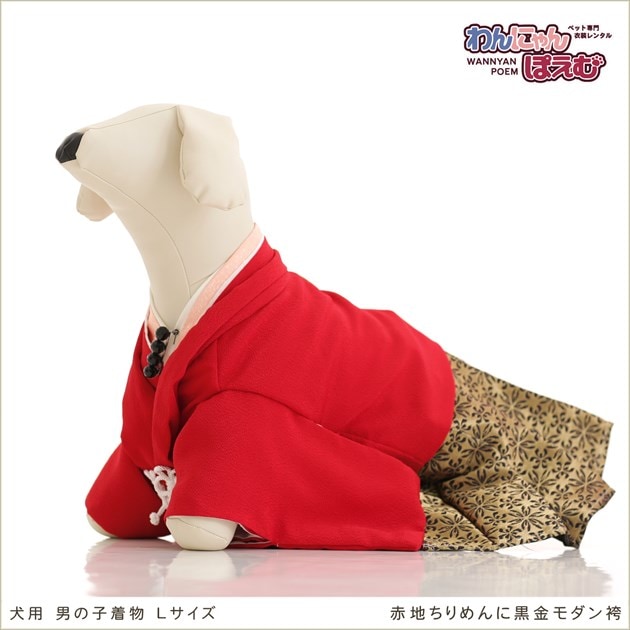 ペット着物レンタル 犬の着物 男の子 Lサイズ 中型犬 柴犬 シーズー コーギー ペット衣装レンタル