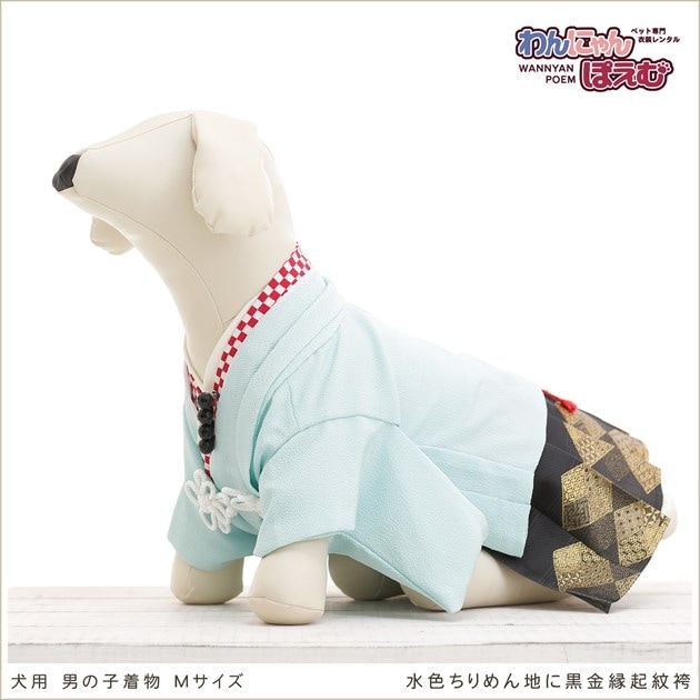 ペット着物レンタル｜犬の着物 男の子 Mサイズ 小型犬｜トイプードル