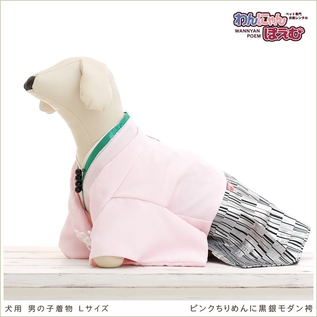 ペット着物レンタル｜犬の着物 男の子 Lサイズ 中型犬｜トイプードル
