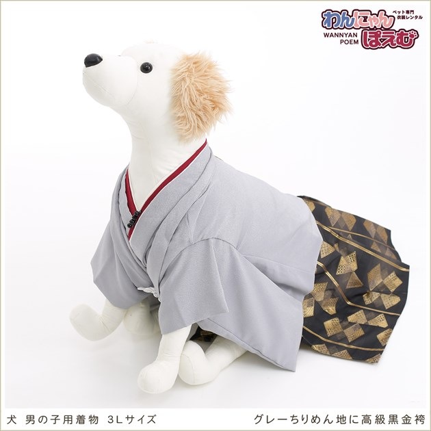 犬の着物レンタル大型犬男の子用3Lサイズ｜ペットの着物レンタルなら