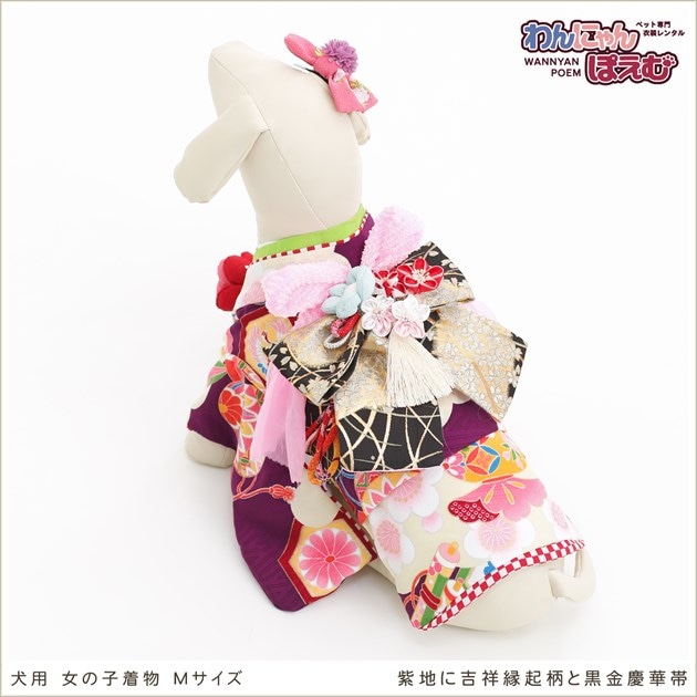 犬の着物レンタル｜Mサイズ小型犬や中型犬のトイプードル・ミニチュア