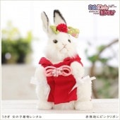 うさぎの着物レンタル、かわいいペット着物なら貸衣裳ぽえむ