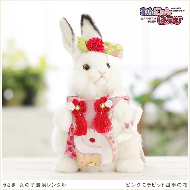 うさぎの着物レンタル 高級着物生地で作ったかわいい女の子のペット着物