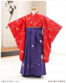 【袴レンタル】3歳 女の子 七五三レンタル h3901 女の子 七五三着物レンタル 2020 貸衣装 ３才 753 結婚式 かわいい おしゃれ 子供着物 人気 赤地に慶びの蝶紫袴|女の子七五三《３歳/