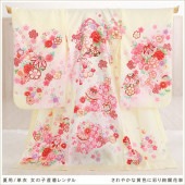 夏用 単衣 お宮参り 産着レンタル 女の子 mjh7001 赤ちゃん着物  涼しい 薄手 お食い初め ベビー よだれかけ帽子セット 祝着 高級産着 かわいい「さわやかな黄色に彩り絢爛花車」|夏用（単衣