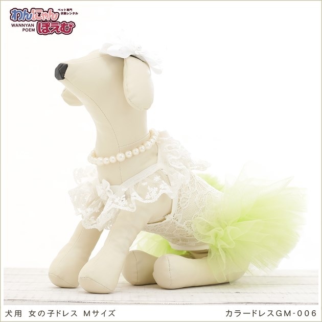 犬のドレスレンタル｜Mサイズの小型犬や中型犬（結婚式・七五三・撮影