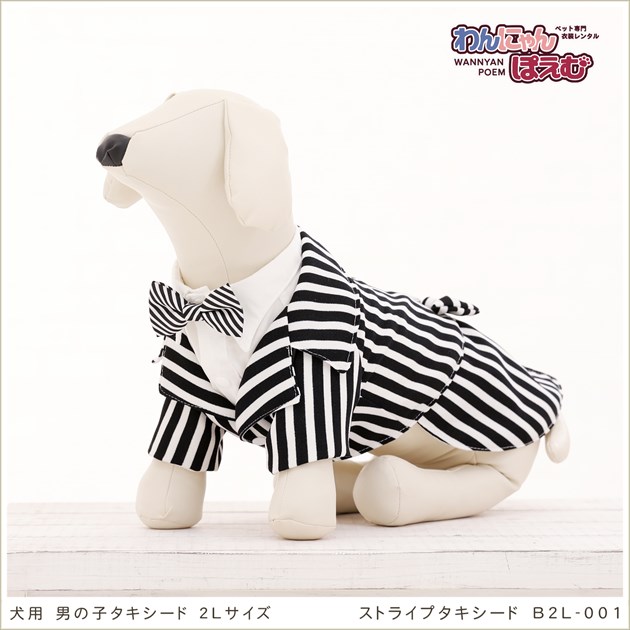 犬のタキシードレンタル 2lサイズの大型犬ピッタリ 結婚式 七五三 撮影会 高級タキシード