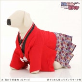 ペット着物レンタル｜犬の着物 男の子 SSサイズ 小型犬｜チワワ