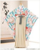 ���ع�´�ȼ� �ӥ�󥿥� ���λ� h0957 �ե륻�å� ������ ��ʪ��󥿥� ´�ȸ� ���٤�ӥ����� �����ץ� 10�� 11�� 12�� 13�� ��ǯ�� ���� �͵� ��ȥ� ����� ���襤�� ȯɽ�� �忧������̷Ĳڥ��꡼���