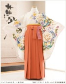 ���ع�´�ȼ� �ӥ�󥿥� ���λ� h0969-2 �ե륻�å� ������ ��ʪ��󥿥� ´�ȸ� ���٤�ӥ����� �����ץ� 10�� 11�� 12�� 13�� ��ǯ�� ���� �͵� ��ȥ� ����� ���襤�� ȯɽ�� ����ҡץ֥��ɡ��򥯥꡼��˵ȾͰ�ॷĲ�