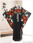 ���ع�´�ȼ� �ӥ�󥿥� ���λ� h0976-3 �ե륻�å� ������ ��ʪ��󥿥� ´�ȸ� ���٤�ӥ����� �����ץ� 10�� 11�� 12�� 13�� ��ǯ�� ���� �͵� ��ȥ� ����� ���襤�� ȯɽ�� ���Ϥ˥����ĲֻԾ���