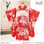 ����ȯ ��ư�ڥ���å���ʪ�֥���å���夲������� 3�� ���޻� ���λ� ���ۥ��åȥ�󥿥� zf0002 ��󥿥å� ��ñ���դ���ʪ 90cm���� 753 �߰��� ������ ��� ���٥�� ���� �Ҷ���ʪ �͵� ���襤����ʪ 2024���۵���ŷ�ȡץ֥��� ���Ϥ˽˺̲�